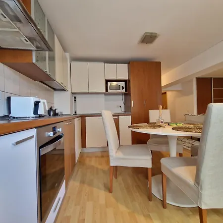 Apartment Ultracentral - Rond Alba Iulia *
